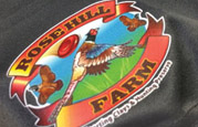 CarVa Signs - Screen Print custom apparel, shirts, pants, jerseys, sweatshirts